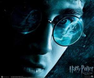 yapboz Harry Potter ve Melez Prens